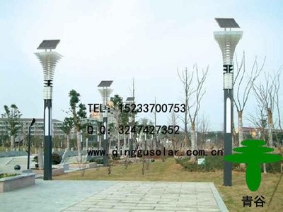 张家口景观灯